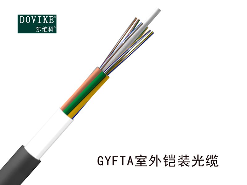 24芯GYFTA室外鎧裝光纜、24芯光纜價格廠家--江蘇東維通信科技有限公司