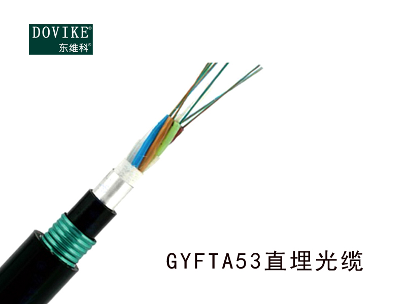 GYFTA53直埋光纜，24芯埋地光纜廠家--江蘇東維通信科技有限公司