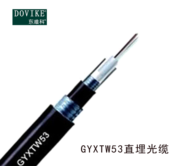 GYXTW53室外鎧裝直埋光纜，12芯GYXTW53埋地光纜廠家--江蘇東維通信科技有限公司