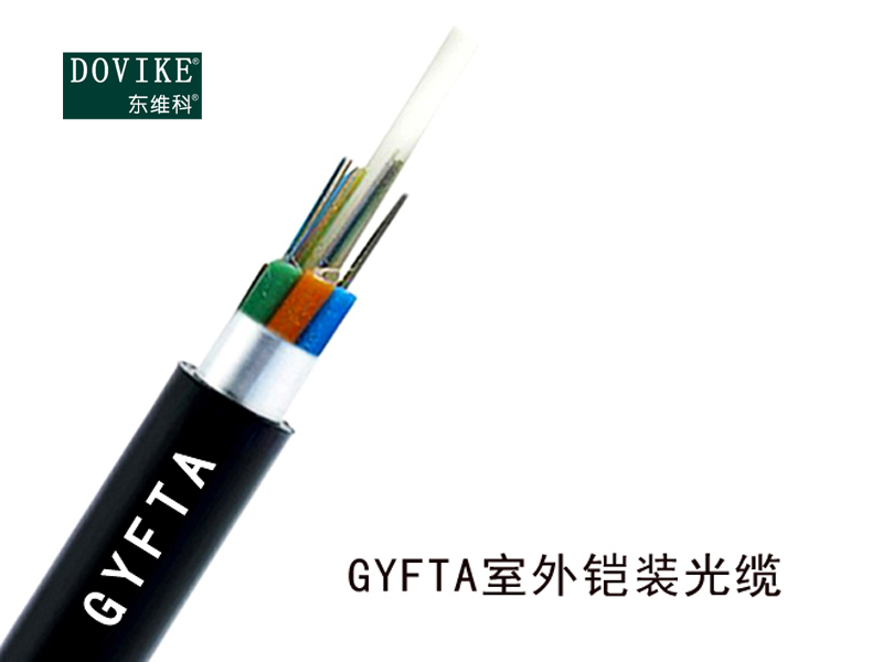 GYFTA鎧裝光纜非金屬加強(qiáng)芯，24芯GYFTA光纜
